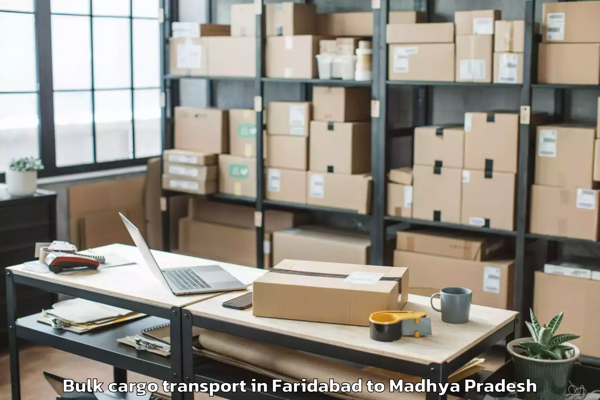 Professional Faridabad to Burhanpur Bulk Cargo Transport